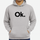 New Winter Collection Full Grey Hoodie Weight Don't Lift Printed For Men And Boys (Extra Large)